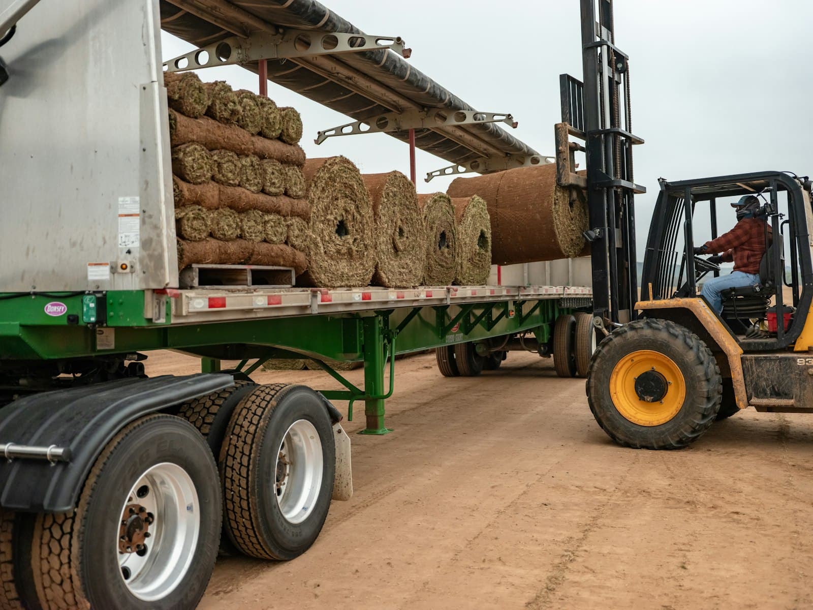 A rough-terrain forklift loading rolls of sod onto a US flatbed trailer fitted with a rolling tarp system, in a dirt yard under overcast sky.
